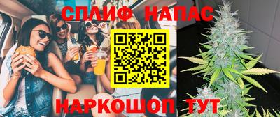 молекула духа Донской