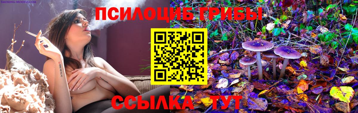 Новоалтайск  Галлюциногенные грибы ЛСД  купить закладку  Вход с VPN 